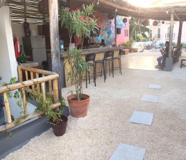 Wabi Hostel 普拉亚卡门 外观 照片
